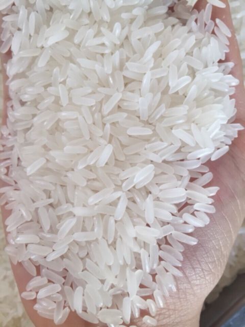 Gạo tám thái  dẻo ngon loại 1 NOWSHIP thần tốc
