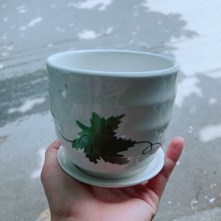 Chậu trồng cây 9-10cm
