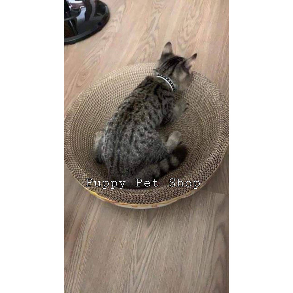 Cào móng giấy ổ tròn