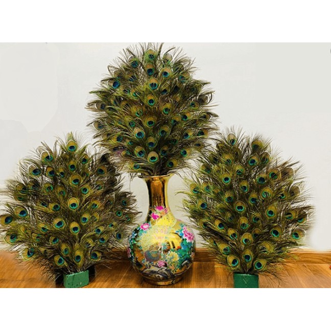 Lông công phong thủy LEVAN vượng khí, cầu tài, cầu lộc chiều dài 28-80cm | BigBuy360 - bigbuy360.vn