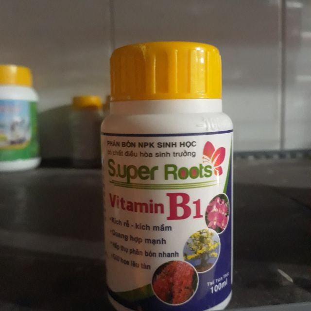 Super Roots vitamin B1