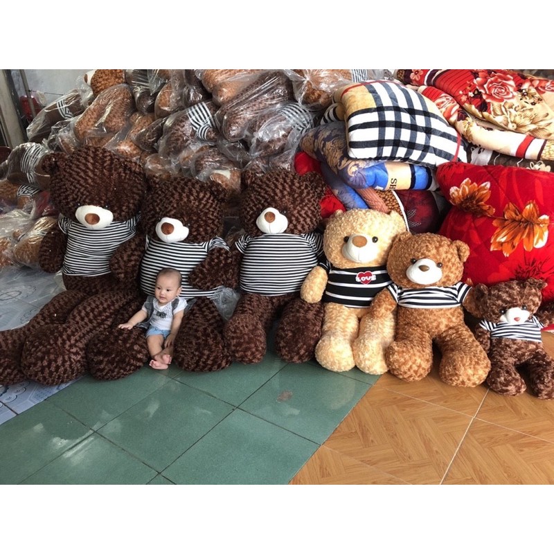 [Mã LIFEXANH03 giảm 10% đơn 500K] ✨XẢ LỖ✨ Gấu Bông Teddy Gấu Brown Khổng Lồ