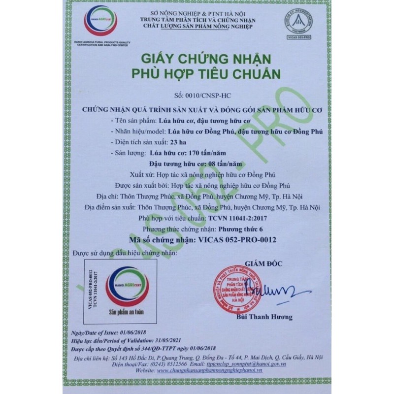 Gạo hữu cơ nếp cái hoa vàng Đồng Phú, túi 1kg hút chân không