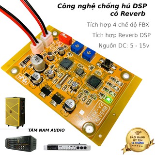 Mạch Chống Hú Mic V2 Cho Loa Kéo - Amply Có Kèm Reverb _Tâm Nam