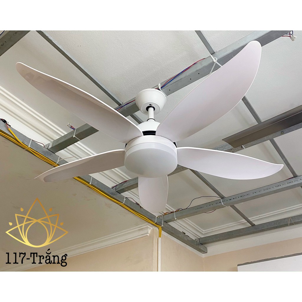 Quạt Trần Đèn 5 Cánh Động Cơ DC inverter