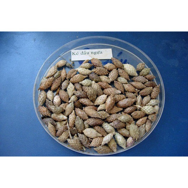 Combo 2kg Ké Đầu Ngựa loại 1