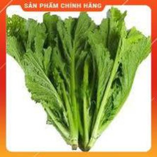 HẠT GIỐNG CẢI MÈO GÓI 20 GRAM