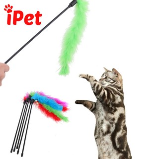 Cây Trêu Chó Mèo Bằng Lông Có Lục Lạc - iPet Shop