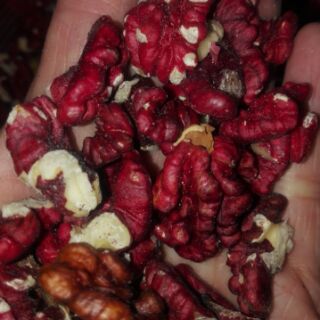 Óc chó mỹ đỏ 1kg