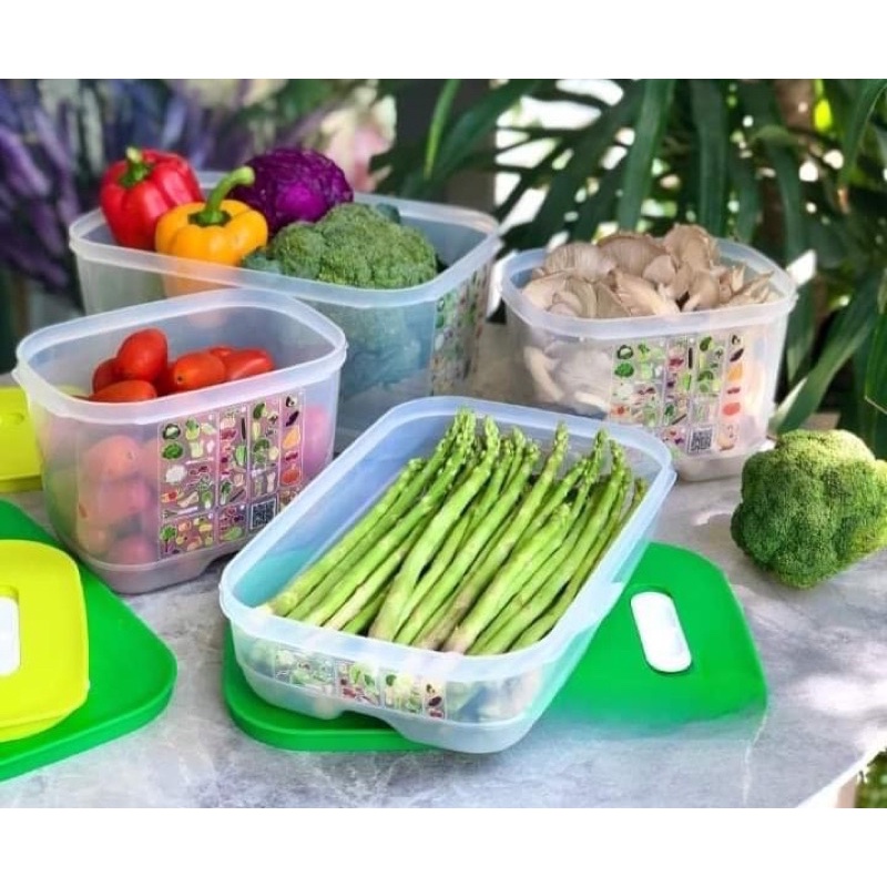 HỘP VENT DẸT 1.8L TUPPERWARE VIỆT