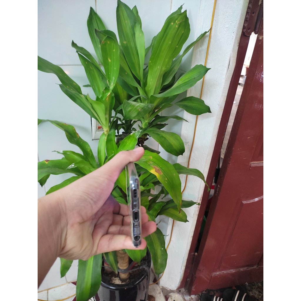 Điện thoại V50 THINQ dùng mượt mà êm ái chụp ảnh SIÊU ĐẸP hỗ trợ mang 5G.(6/128 G.) | BigBuy360 - bigbuy360.vn