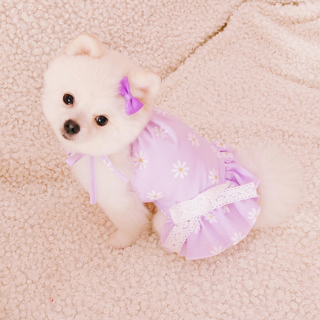 Đầm yếm thiết kế cho chó mèo