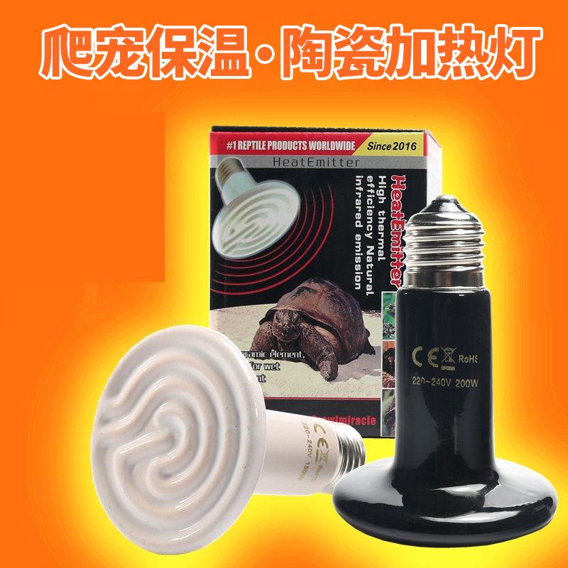 Đèn sưởi ấm cho thú cưng bò sát