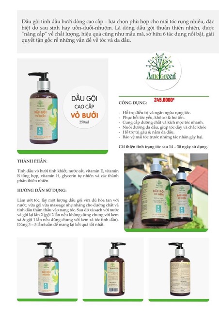 Combo Dầu gội Vỏ Bưởi và Kem Xả Tóc Amegreen - Trị rụng tóc và phục hồi tóc hư tổn