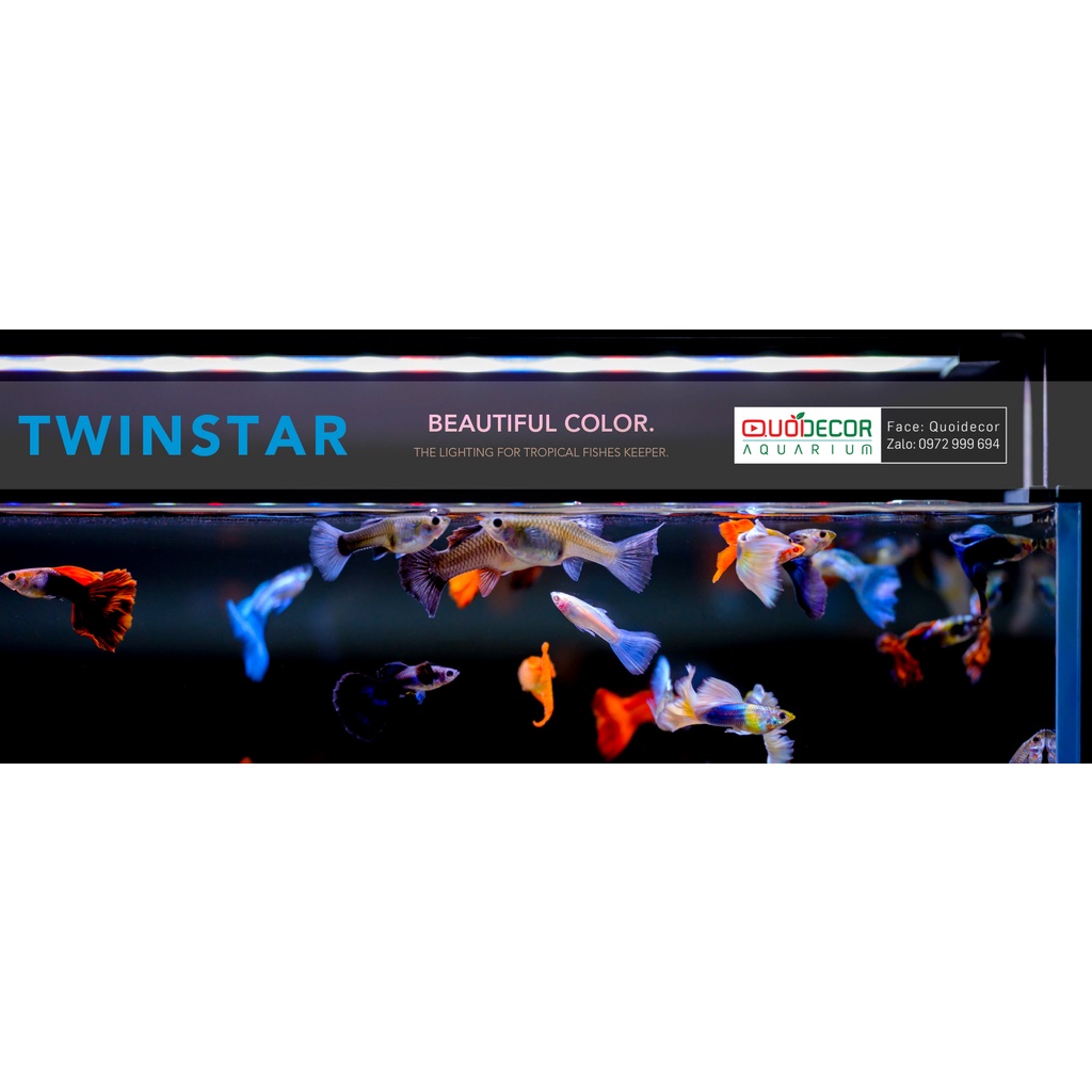 Đèn Twinstar B LINE III RGB | 30B | 45B | 60B | Đèn led chuyên dụng cho bể cá cảnh thủy sinh