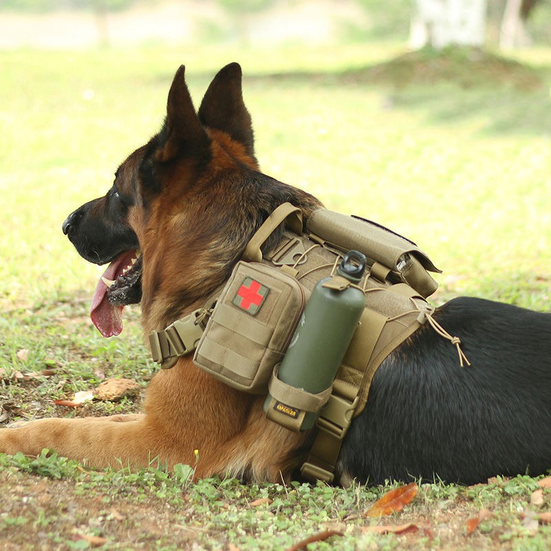 Quần áo chó cảnh vừa và lớn cho tuần tra k9 gi lê lông vàng săn chiến thuật Vest huấn luyện