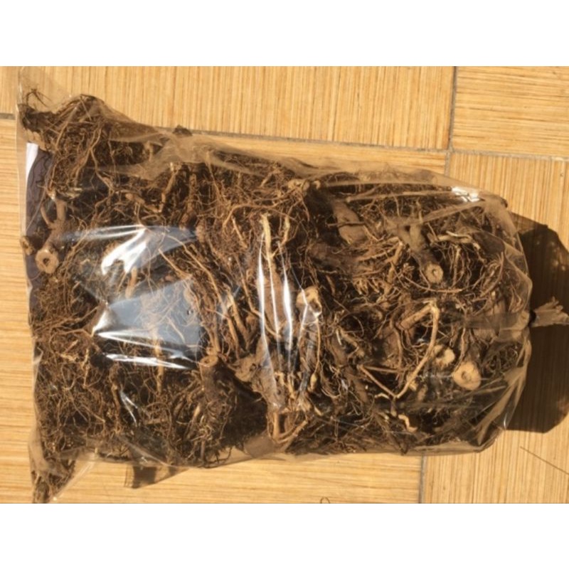 Rễ Bồ Công Anh Hữu Cơ