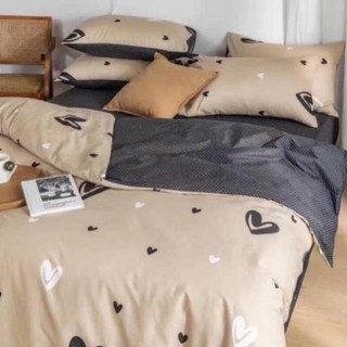 Bộ chăn ga gối hàng cotton
