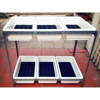 Kệ sắt trồng rau 2 tầng mỗi tầng 3 khay