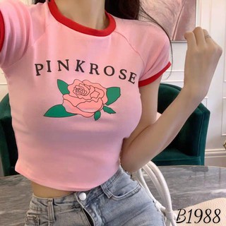 Áo Thun Croptop Ôm Body Phối Hình Hoa Hồng Pink Rose Gợi cảm EVA AO 30241