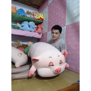 combo Gấu bông Heo hồng size 90cm...