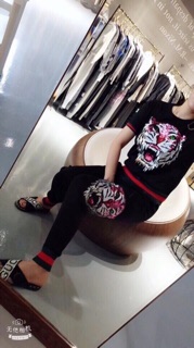 Set montoghi hổ đính đá