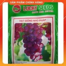 Hạt Giống Nho Pháp Lùn LUCKY SEEDS ( 10 hạt)