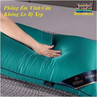 Giá sỉ 1 đôi ruột gối Hilton.