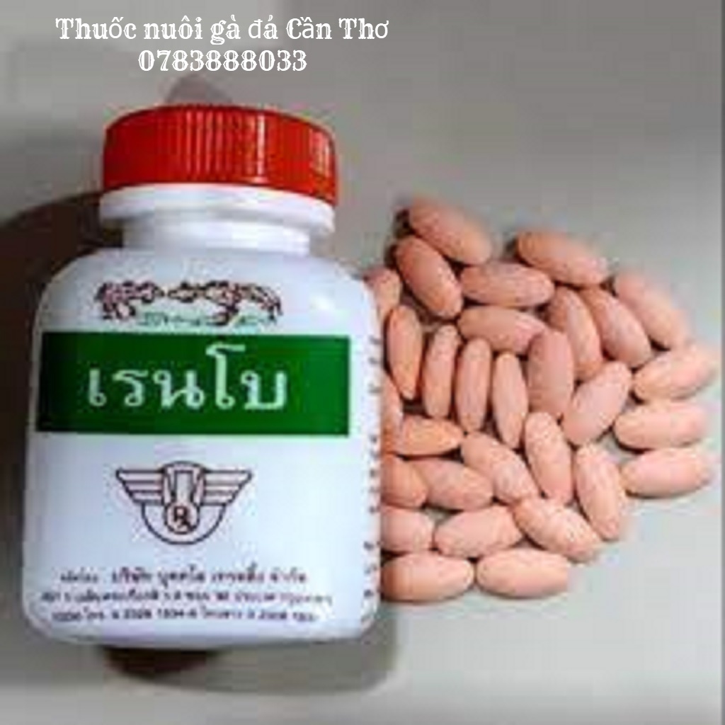 Rainbow Nuôi Gà Đá Gà Tơ 1 Hũ 100 Viên