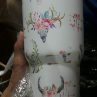 Ly giu nhiệt thailan
