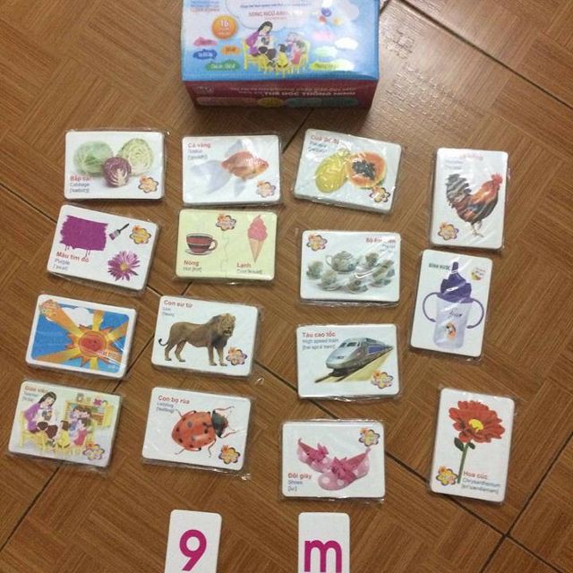 Bộ thẻ học thông minh cho bé 416 thẻ song ngữ Anh Việt theo phương pháp giáo giục sớm Glenn Doman | Flashcards cho bé