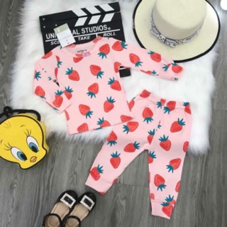 Combo 8 bộ khách đặt bộ bozip hình cho con