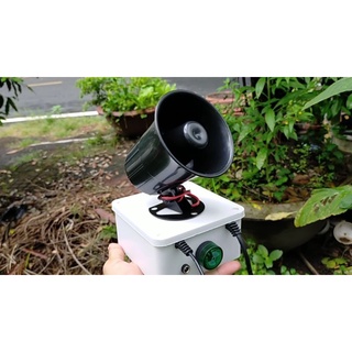 Chống trộm cây cảnh