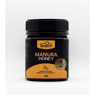 [HÀNG CHÍNH HÃNG DATE 2024] MGO 550+ 250G MẬT ONG MANUKA BLOSSOM MANUKA HONEY