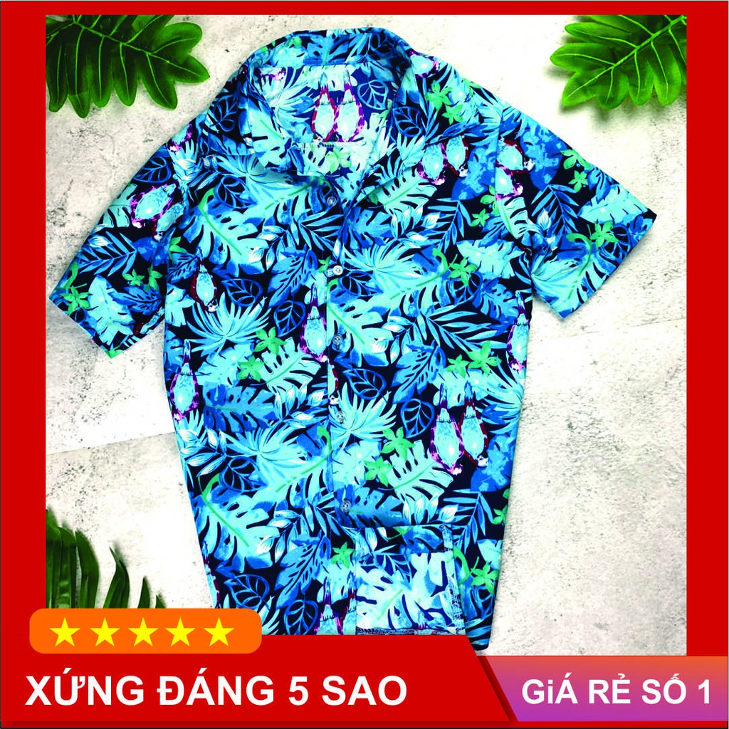 [Hàng Loại 1] Đồ Bộ Đi Biển mềm mịn đẹp dành cho đội nhóm, team building, chụp ảnh kỷ yếu, mặc theo nhóm đi biển jaketto | BigBuy360 - bigbuy360.vn