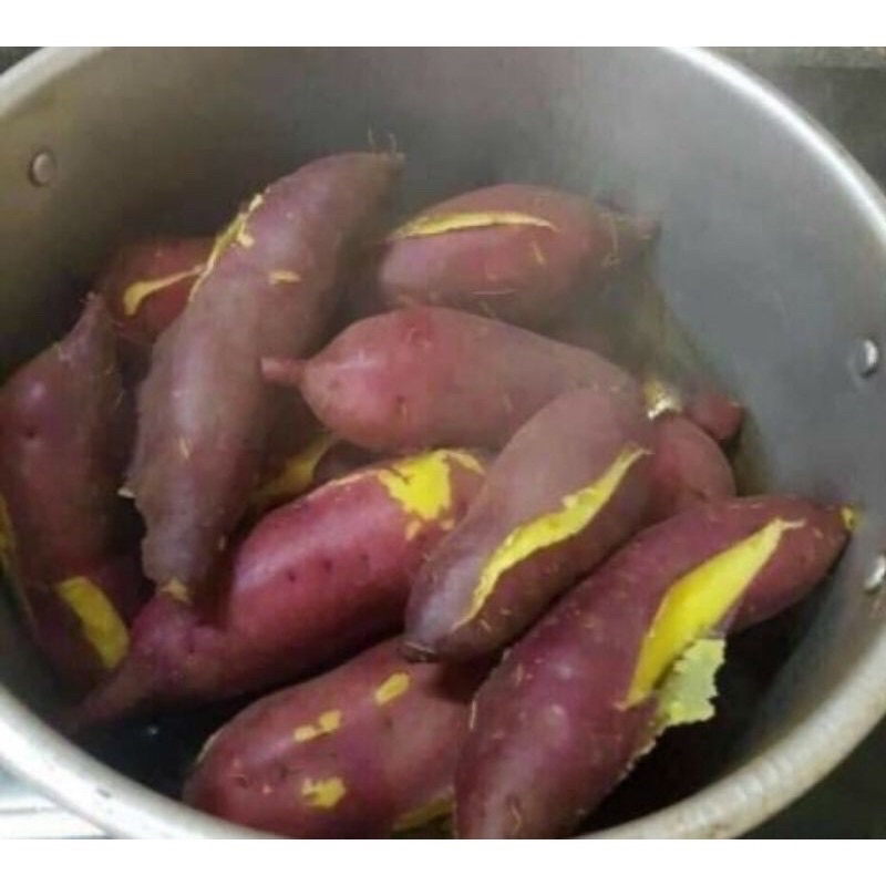 1Kg Khoai lang giống mới bở và ngon - hàng tươi mỗi ngày