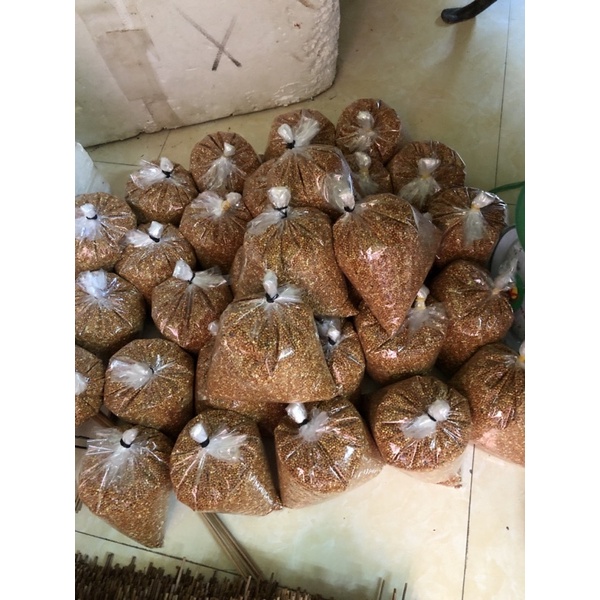 Hạt kê bóng đỏ hạt to cho chim cảnh, vẹt, yến phụng