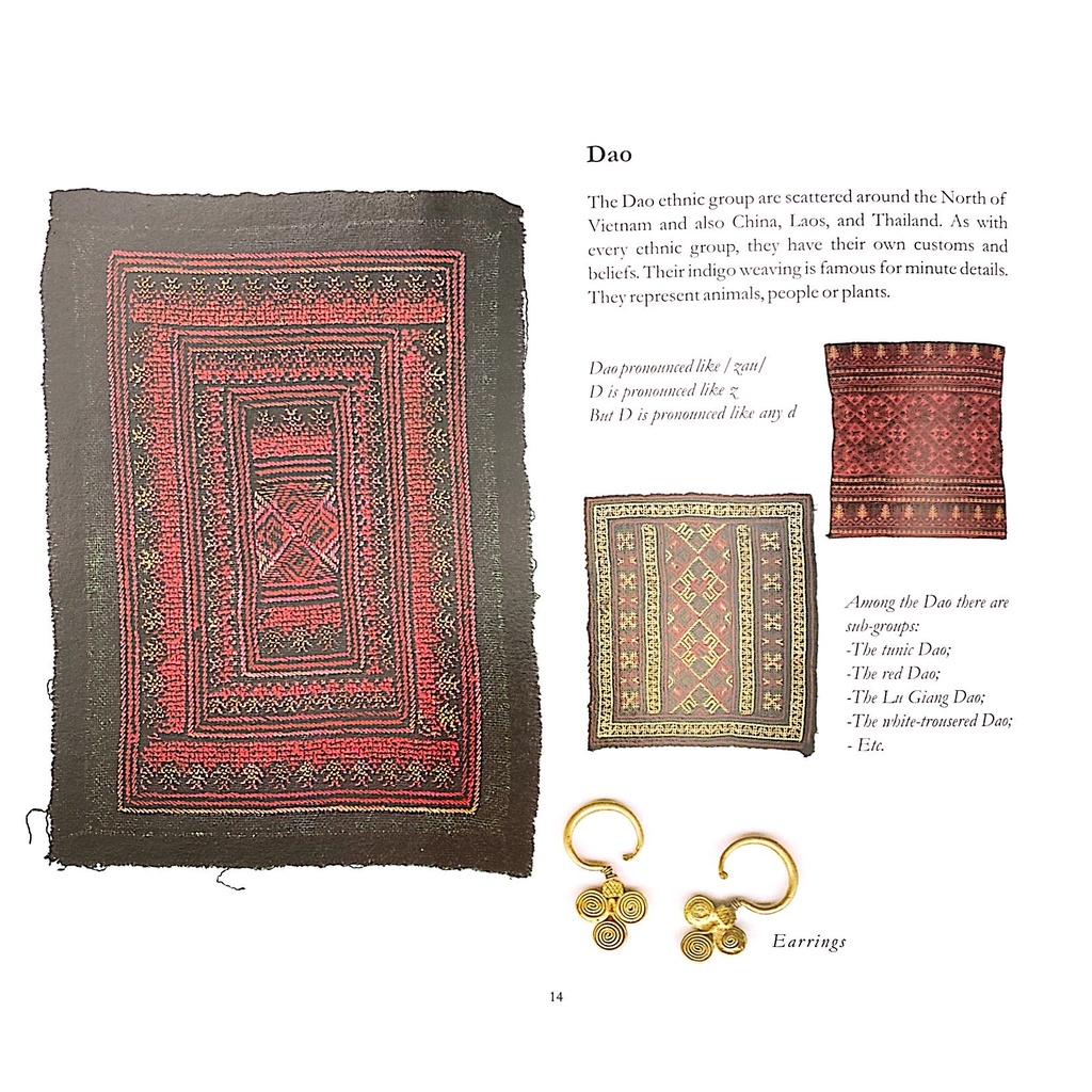 Sách Vietnam Under The Sign Of The Blue Dragon