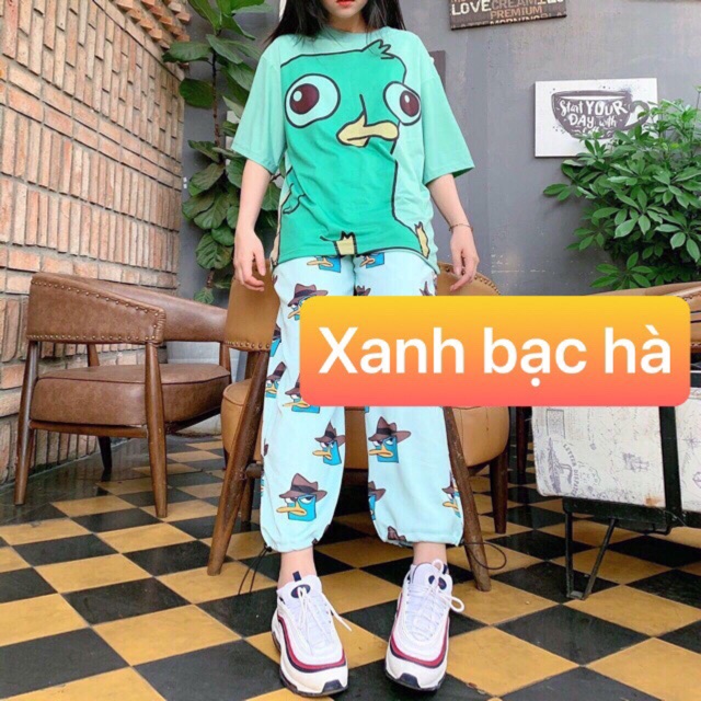 Sét áo quần hình chim xanh PM12