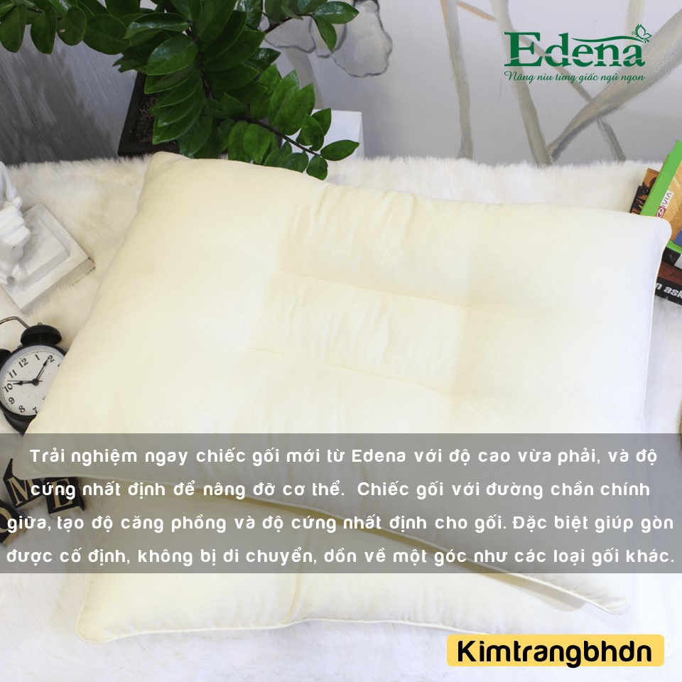 Ruột Gối Giảm Ngáy Edena - CHÍNH HÃNG