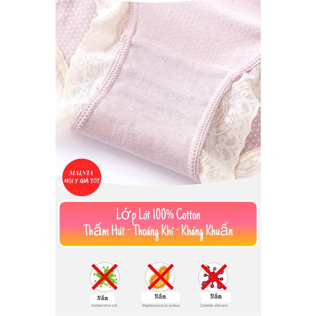 Quần Lót Cotton Màu Hồng Kháng Khuẩn Viền Ren Sang Trọng Co Giãn Thoải Mái Mainia Shop