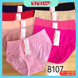Sét 10 quần chíp nữ, quần lót cotton dệt kim co dãn 4 chiều