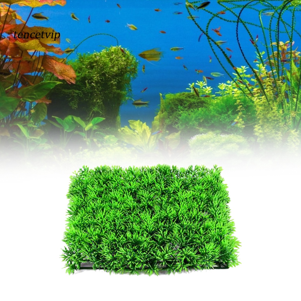 Thang Leo Bằng Nhựa Tinh Tế Dễ Sử Dụng Cho Bể Cá