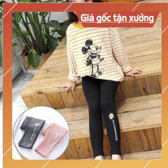 [HOT] Quần Leging Bé Gái  Quần Leging Hoa Cúc Cho Bé - Quần Thu Đông Bé Gái 8kg->22kg  [Nhím Shop]