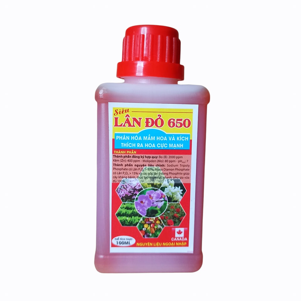 Siêu Lân Đỏ 650 phân hóa mầm hoa và kích thích ra hoa cực mạnh lọ 100ml, cây con kích thích ra rễ