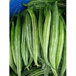 HẠT GIỐNG LẶC LÀY - LẶC LÈ CAO SẢN GÓI 2 GRAM