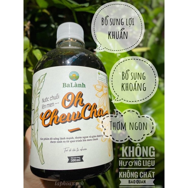 OHCHEWCHA 500ML (CHAI NHỰA)