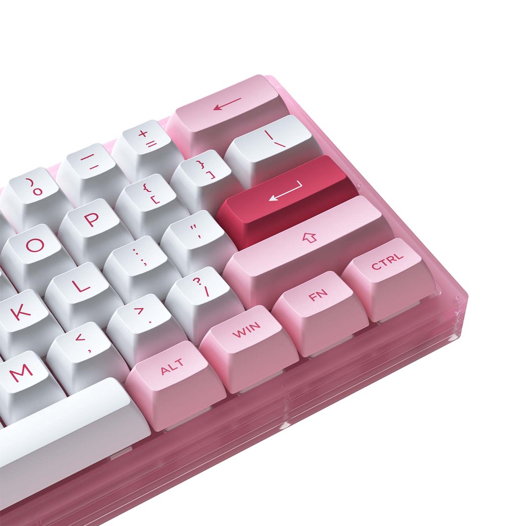 Bàn phím cơ AKKO ACR61 Pink (Hotswap / RGB / AKKO CS sw Jelly Pink)