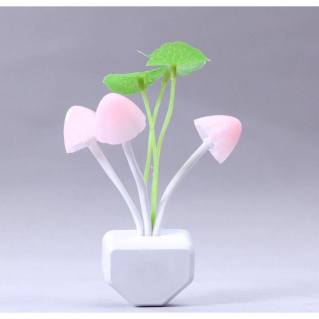 Đèn Ngủ Nấm Tối Tự Sáng - Sáng Tự Ngắt | BigBuy360 - bigbuy360.vn