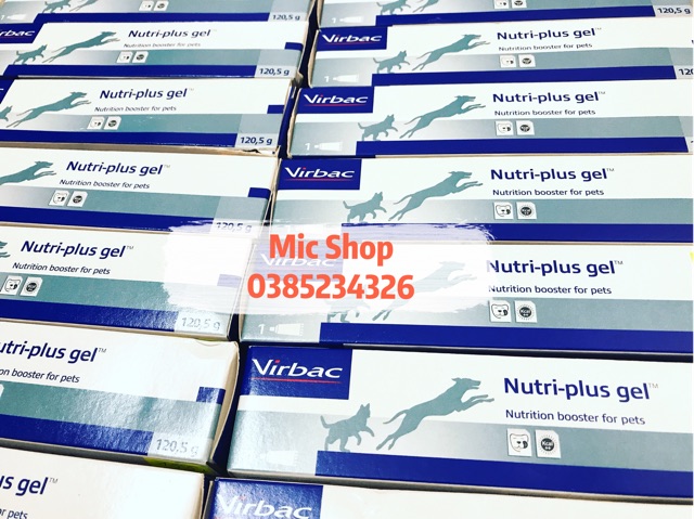 Gel dinh dưỡng Nutri-plus cho chó mèo